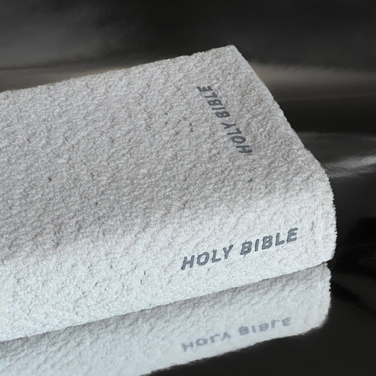 GRAY IVORY BOUCLÉ BIBLE COVER