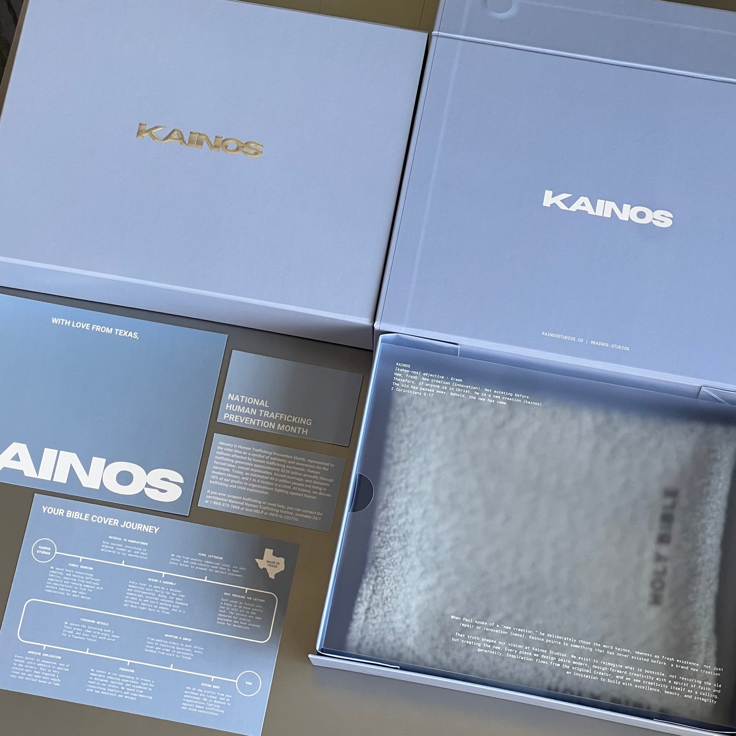 BARE ICY BLUE BOUCLÉ BIBLE COVER