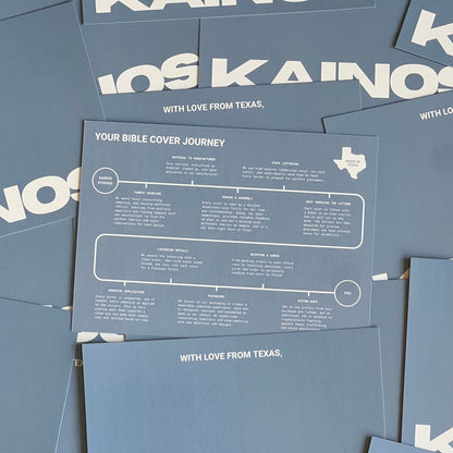 BARE ICY BLUE BOUCLÉ BIBLE COVER